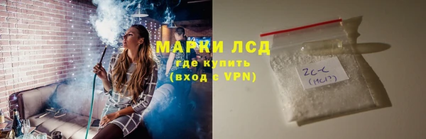 гашик Осташков
