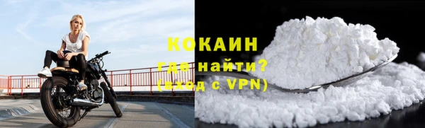 гашик Осташков