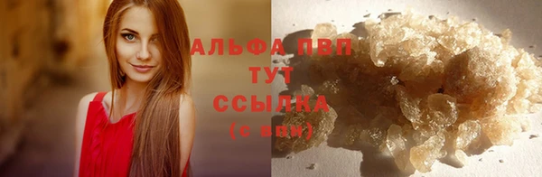 гашик Осташков