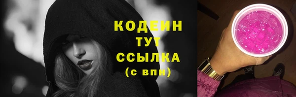 гашик Осташков