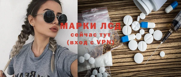 гашик Осташков