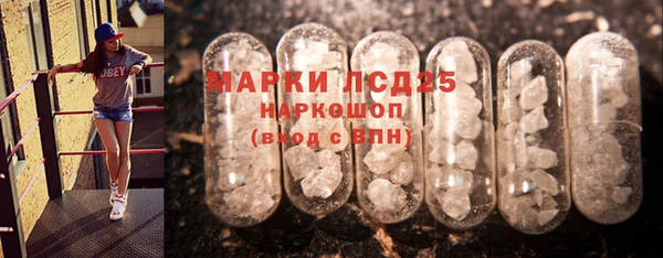 гашик Осташков