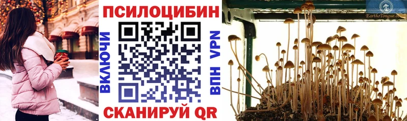 Галлюциногенные грибы мицелий Скопин
