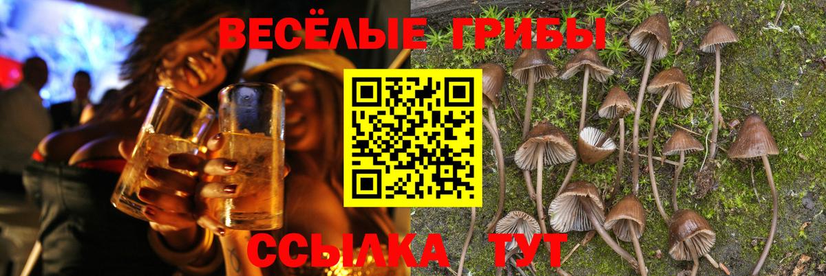 Псилоцибиновые грибы GOLDEN TEACHER  Галлюциногенные грибы Psilocybine cubensis  Вход с VPN  Скопин 