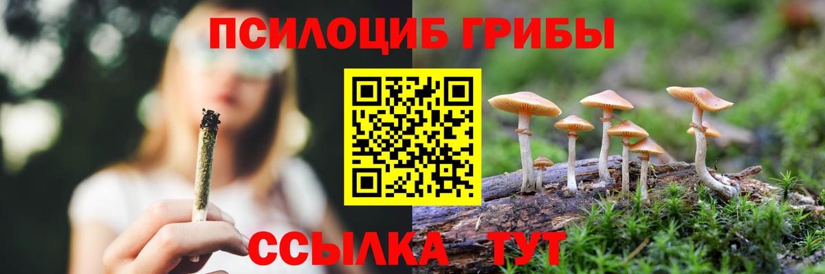 Галлюциногенные грибы прущие грибы Скопин